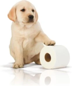 Page Toiletpapier - 32 Rollen - Kussenzacht Wc Papier (3-laags) - Voordeelverpakking 20 Page Toiletpapier - 32 Rollen - Kussenzacht Wc Papier (3-laags) - Voordeelverpakking -Dagelijkse Benodigdheden Verkoop 1001x1200 2