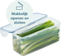 Lock&Lock Vershouddoos - Bewaardoos Met Deksel - Voor Ontbijtkoek Peperkoek En Cake - Cakedoos - 100% Luchtdicht - 2 Liter 19 Lock&Lock Vershouddoos - Bewaardoos Met Deksel - Voor Ontbijtkoek Peperkoek En Cake - Cakedoos - 100% Luchtdicht - 2 Liter -Dagelijkse Benodigdheden Verkoop 1200x1104 3