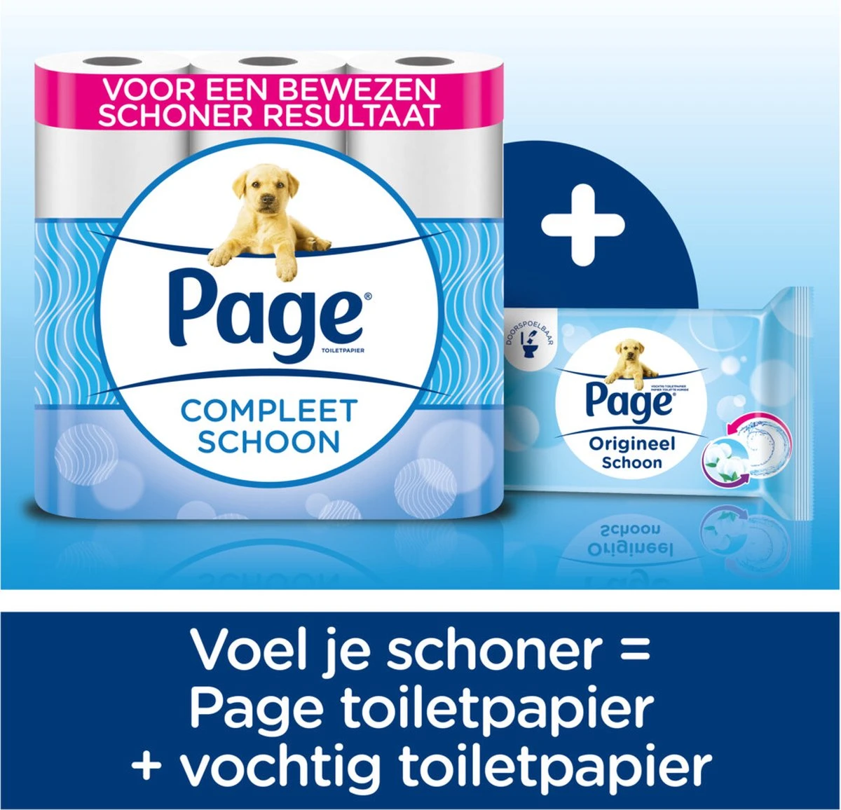 Page Toiletpapier - 72 Rollen - Compleet Schoon Wc Papier - Voordeelverpakking 2 Page Toiletpapier - 72 Rollen - Compleet Schoon Wc Papier - Voordeelverpakking - Afbeelding 2