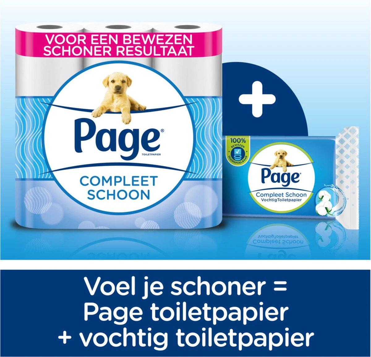 Page Vochtig Toiletpapier - 6 X 74 Stuks - Compleet Schoon Maxi Vochtig Wc Papier - Voordeelverpakking 9 Page Vochtig Toiletpapier - 6 X 74 Stuks - Compleet Schoon Maxi Vochtig Wc Papier - Voordeelverpakking - Afbeelding 9