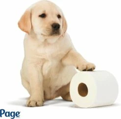 Page Toiletpapier - Eco - Duurzaam - 24 Rollen - Voordeelverpakking -Dagelijkse Benodigdheden Verkoop 1200x1186 2