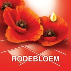 Ajax® Ajax Allesreiniger Fete De Fleur Rode Bloemen 1 Liter -Dagelijkse Benodigdheden Verkoop 1200x1200 1023