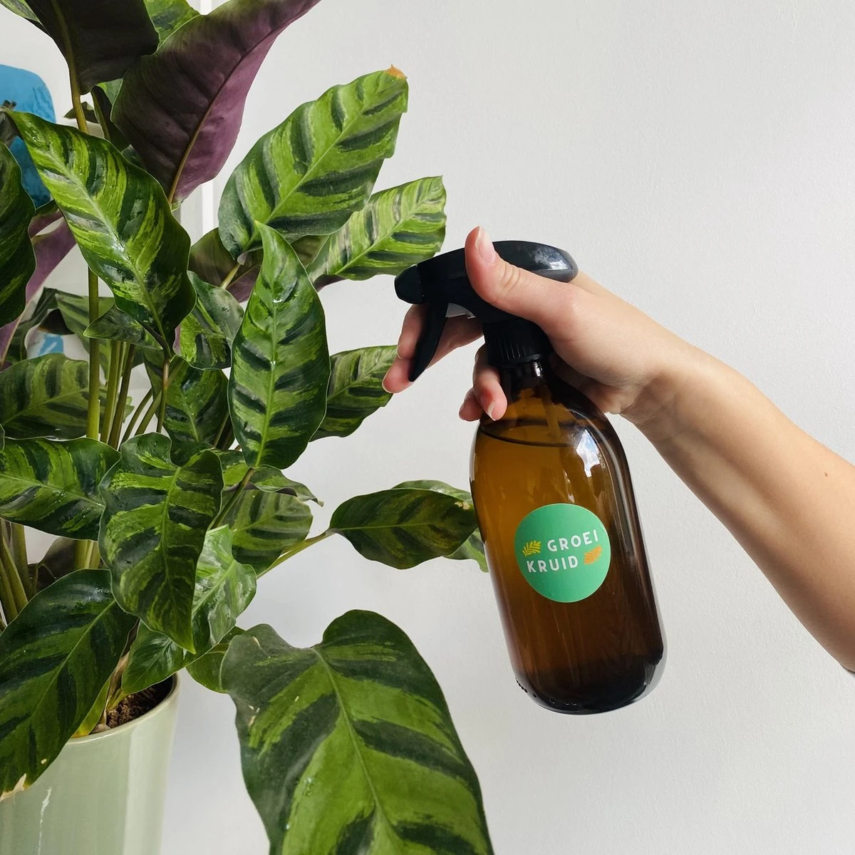 Premium Spray Bottle | 500 Ml Amberglas | Sprayflacon | Spuitfles 2 Premium Spray Bottle | 500 Ml Amberglas | Sprayflacon | Spuitfles - Afbeelding 2