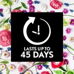 Air Wick Essential Mist Automatische Geurverspreider Luchtverfrisser - Innerlijke Rust - Navulling -Dagelijkse Benodigdheden Verkoop 1200x1200 1287