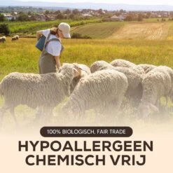 Drogerballen - Droogballen - Wasdrogerballen - Dryerballs - 6 Stuks - XL Formaat - Wol - Set -Dagelijkse Benodigdheden Verkoop 1200x1200 473