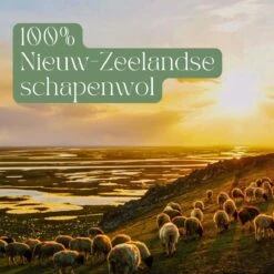 Miki's Goods® XL Wollen Drogerballen 6 Stuks - Panda Wasballen - Duurzaam - Wasbol - 100% Nieuw-Zeelandse Schapenwol - Wasbollen - Herbruikbaar- Droogballen - Snellere Droogtijd - Zuigt Dierenharen Op -Dagelijkse Benodigdheden Verkoop 1200x1200 489