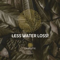 Lavayette XL Drogerballen Met 25ml Wasparfum - WasdrogerBallen – Droogballen – Wasbol – 100% Nieuw-Zeelands Schapenwol – Milieu- En Diervriendelijk – 6 Stuks -Dagelijkse Benodigdheden Verkoop 1200x1200 518