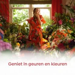 Robijn Klein & Krachtig Rosé Chique Vloeibaar Wasmiddel - 8 X 19 Wasbeurten - Voordeelverpakking -Dagelijkse Benodigdheden Verkoop 1200x1200 62