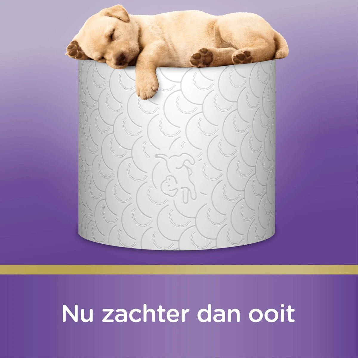 Page Toiletpapier - 32 Rollen - Kussenzacht Wc Papier (3-laags) - Voordeelverpakking 4 Page Toiletpapier - 32 Rollen - Kussenzacht Wc Papier (3-laags) - Voordeelverpakking - Afbeelding 4