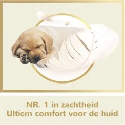 Page Puur Toiletpapier - 24 Rollen - Extra Duurzaam Wc Papier - Voordeelverpakking 11 Page Puur Toiletpapier - 24 Rollen - Extra Duurzaam Wc Papier - Voordeelverpakking -Dagelijkse Benodigdheden Verkoop 1200x1200 910