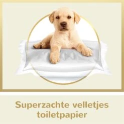 Page Puur Toiletpapier - 24 Rollen - Extra Duurzaam Wc Papier - Voordeelverpakking 13 Page Puur Toiletpapier - 24 Rollen - Extra Duurzaam Wc Papier - Voordeelverpakking -Dagelijkse Benodigdheden Verkoop 1200x1200 911