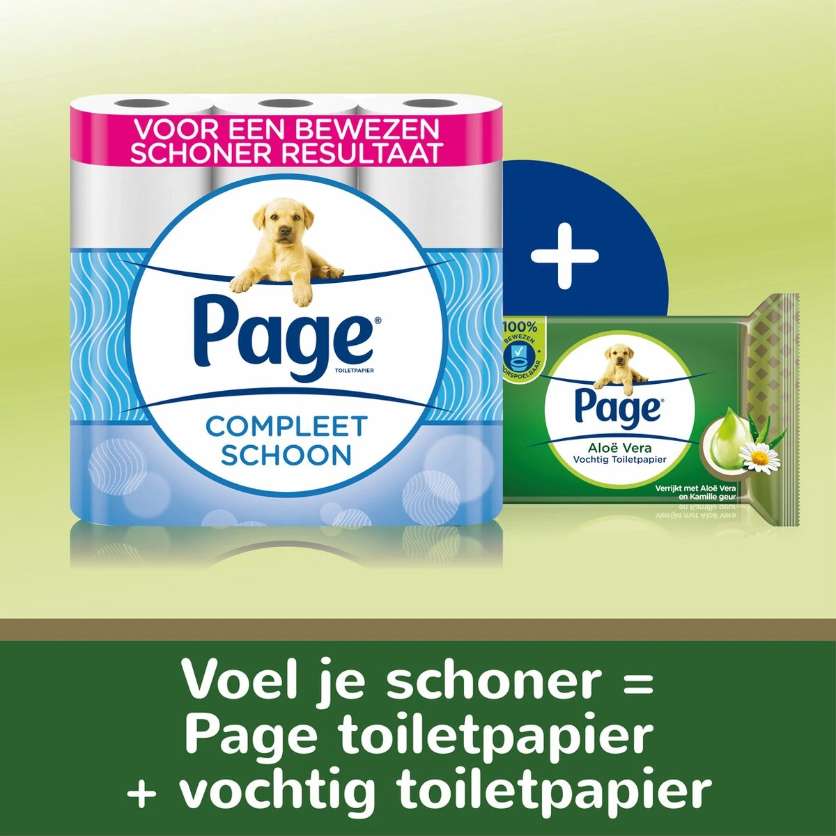 Page Vochtig Toiletpapier - 6 X 74 Stuks - Aloë Vera Maxi Vochtig Wc Papier - Voordeelverpakking 8 Page Vochtig Toiletpapier - 6 X 74 Stuks - Aloë Vera Maxi Vochtig Wc Papier - Voordeelverpakking - Afbeelding 8