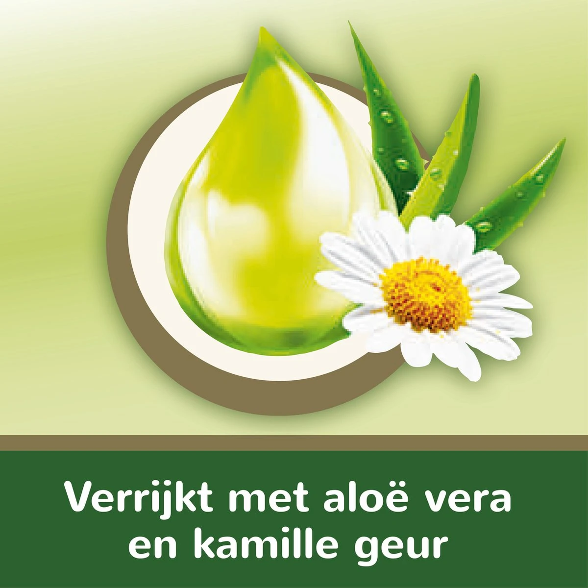 Page Vochtig Toiletpapier - 6 X 74 Stuks - Aloë Vera Maxi Vochtig Wc Papier - Voordeelverpakking 10 Page Vochtig Toiletpapier - 6 X 74 Stuks - Aloë Vera Maxi Vochtig Wc Papier - Voordeelverpakking - Afbeelding 10