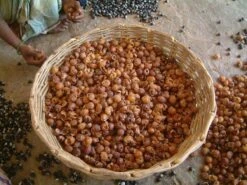 Wasnoten Start 150gr Met Waszakje - Zeepnoten - Natuurlijk Wassen -Dagelijkse Benodigdheden Verkoop 1200x900