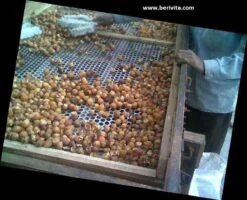 Wasnoten Start 150gr Met Waszakje - Zeepnoten - Natuurlijk Wassen -Dagelijkse Benodigdheden Verkoop 1200x973