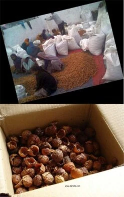 Wasnoten Start 150gr Met Waszakje - Zeepnoten - Natuurlijk Wassen -Dagelijkse Benodigdheden Verkoop 755x1200