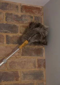 Plumeau Met Struisvogelveren, Bruin - KitchenCraft | Living Nostalgia -Dagelijkse Benodigdheden Verkoop 856x1200 4